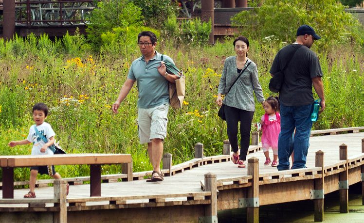 People walking on wooden bridge above swamp