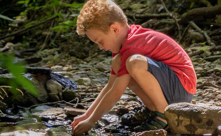 A boy kneels near a creek at during a nature summer camp at Red Oak Nature Center.